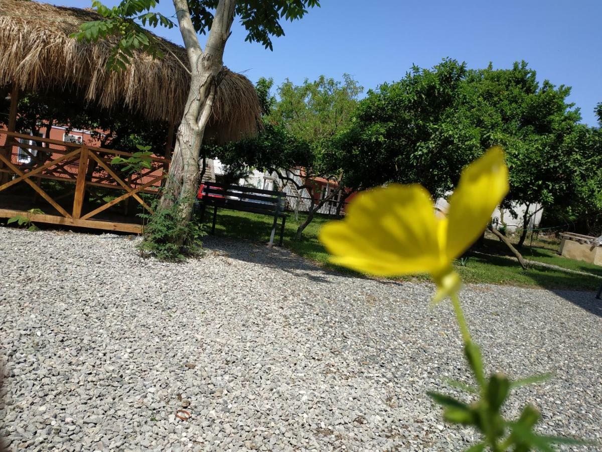 Kolkhi Guest House Gonio Luaran gambar